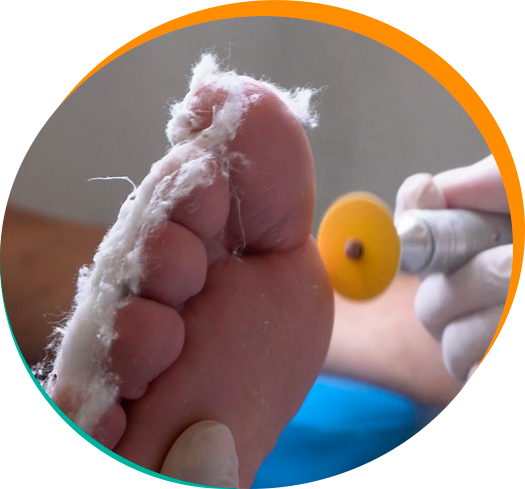 Slide 8