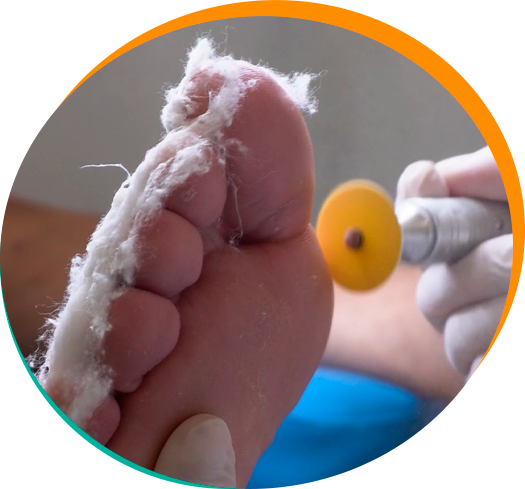 Slide 5